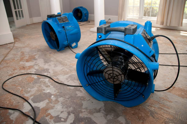  Charlevoix, MI Water damage restoration Pros