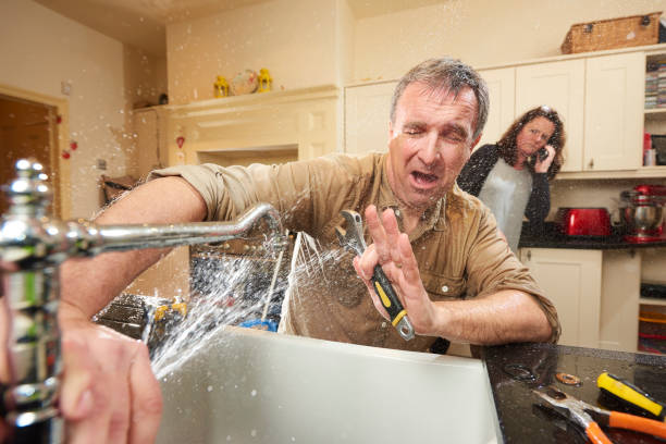 Best Professional water damage repair  in Charlevoix, MI